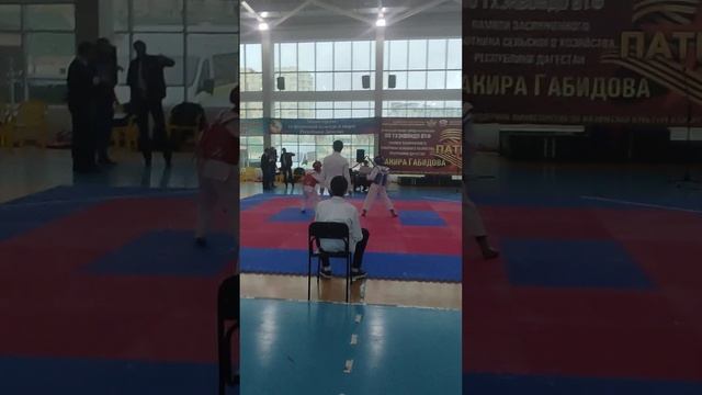 Султан на турнире Патриот. Финал Султан ? смотреть онлайн
