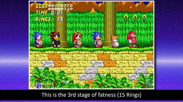 Sonic 2 XL Fat Metal Sonic, Ray, Amy, Tails, Shadow, Knuckles, Mighty, Sonic