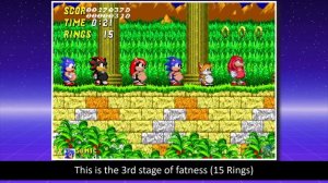 Sonic 2 XL Fat Metal Sonic, Ray, Amy, Tails, Shadow, Knuckles, Mighty, Sonic