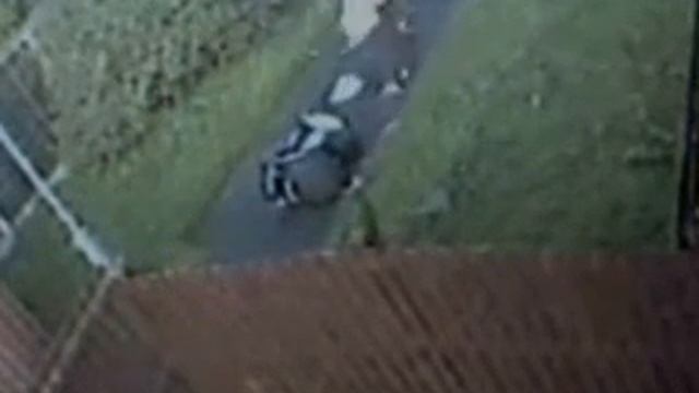 Find these cowards смотреть онлайн