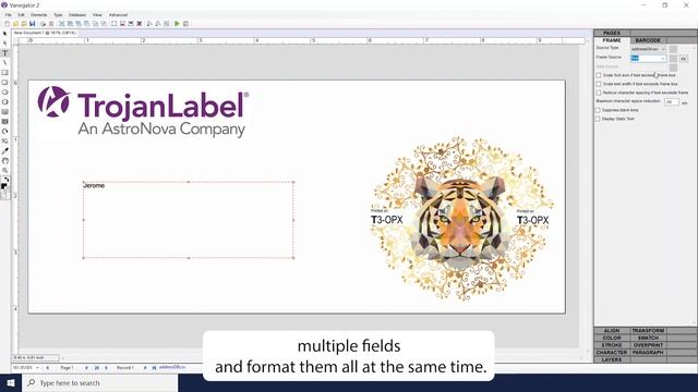 How to Print Variable Data with Xitron Variegator on the Trojan T3-OPX смотреть онлайн