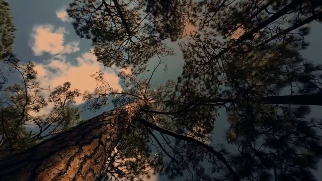 90% МУЖЧИН ГОВОРЯТ ЖЕНЩИНАМ ЭТИ 4 ФРАЗЫ, ПРИВОДЯЩИЕ К НЕМИНУЕМОЙ ПОТЕРИ ИНТЕРЕСА С ЕЁ СТОРОНЫ смотреть онлайн