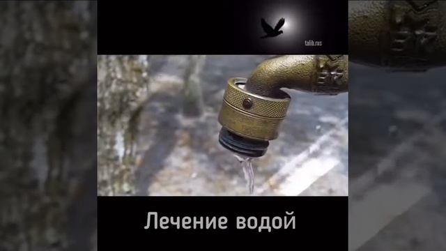 Лечение водой(3) смотреть онлайн