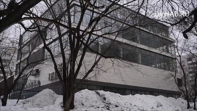 На ремонт особняка для бомжей рядом с гимназией №5 у мэрии Хабаровска нет денег смотреть онлайн