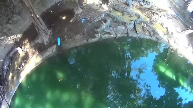 Тайланд животные