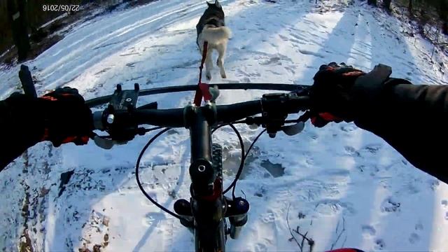 Тренировка 11 марта смотреть онлайн