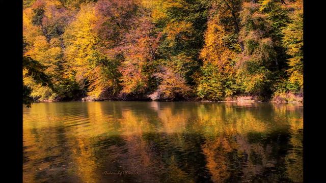 Dilijan National Park & Lake Parz