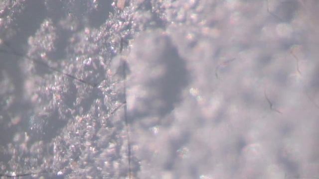 Микроскопическое исследование образца из реактора