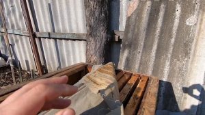 Двухматочное пчеловодство! 10 рамочный дадан!