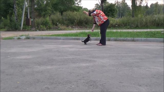 ВАНЯ ВИДЕО смотреть онлайн