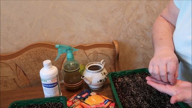 ПОСЕВ СЕМЯН ПОМИДОРОВ НА РАССАДУ. ЧТО НАДО СДЕЛАТЬ ОБЯЗАТЕЛЬНО смотреть онлайн