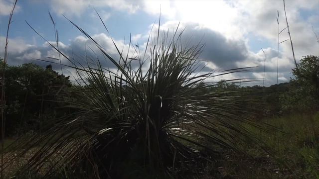 4L Ranch - Bandera County, TX - SOLD смотреть онлайн