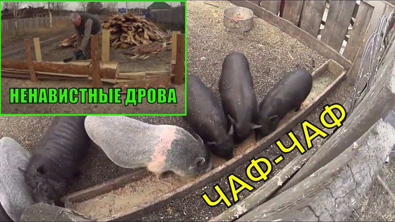 Поросята обжоры Ненавижу дрова Деревенская жизнь смотреть онлайн
