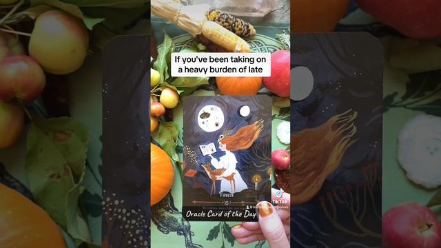 "New Season, New Opportunities!" - 9/22/23 #tarot #dailytarot #tarotwisdom #mabon #fall смотреть онлайн