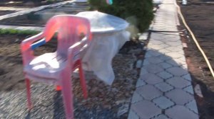 #Обзор #дачи апрель 2020г.