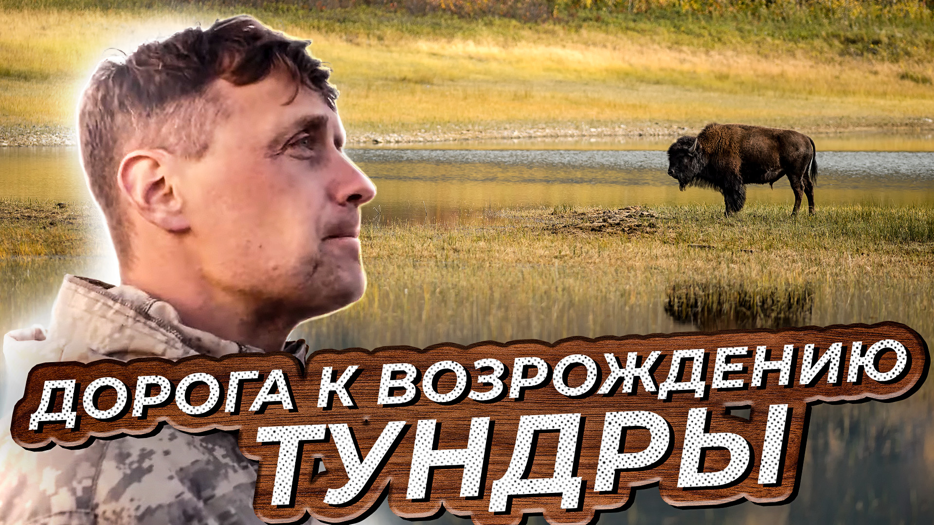 Как современные животные помогают человеку воссоздать климат мамонтовой тундры смотреть онлайн