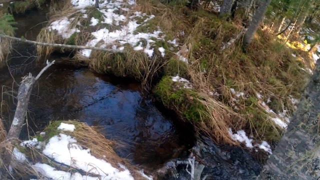 Тайга - Охота - Промысел ...Под вечер пошёл по малому Путику. смотреть онлайн