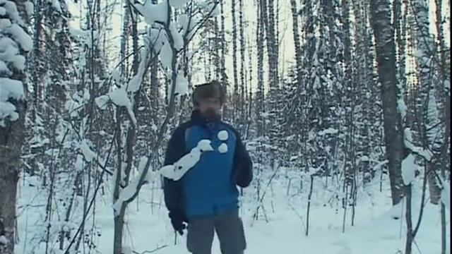 Кабан зимой (следопыт) смотреть онлайн