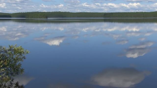 Летний Тест Canon XF100 смотреть онлайн