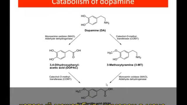 Интерпретация теста «Органические кислоты в моче» The Great Plains Laboratory (5/10). смотреть онлайн