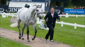Люди и Животные.Эльнира Набиева и история ее Чемпиона.