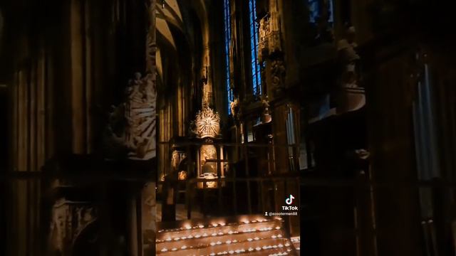 Вена смотреть онлайн