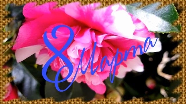Поздравление с 8 марта для любимой девушки! Песня смотреть онлайн