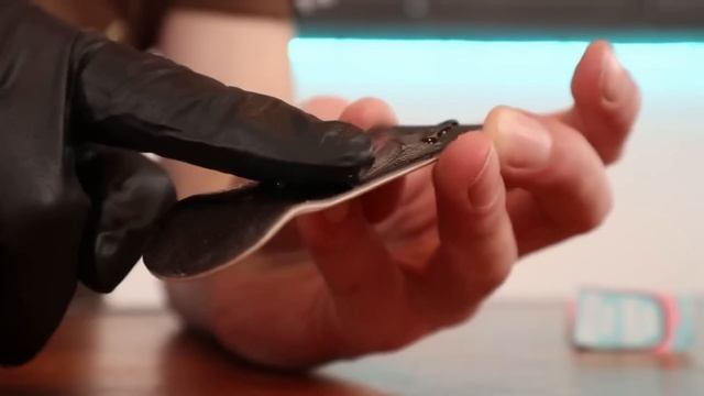 I Made MrBeast A Fingerboard