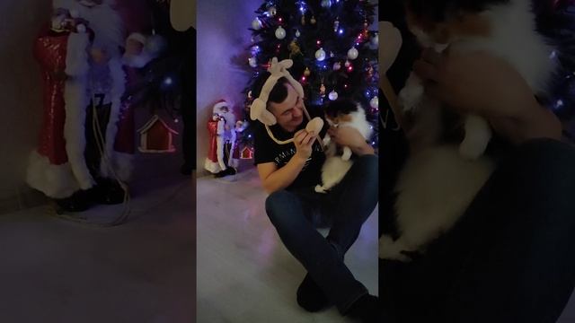 1000055125.mp4 смотреть онлайн