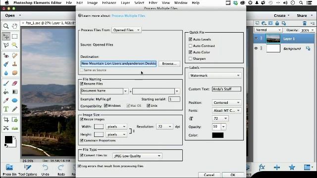 How to perform multiprocessing with images смотреть онлайн