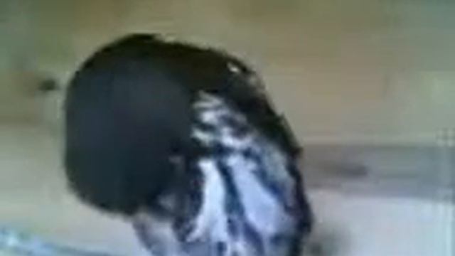 Совы отвечают смотреть онлайн