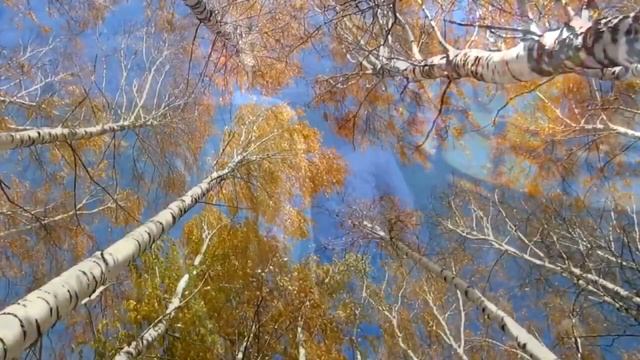 Молитва о Родине (сл. 13-летнего школьника Стаса Бесхмельнова из Мордовии, муз. Л. Евсеевой) смотреть онлайн