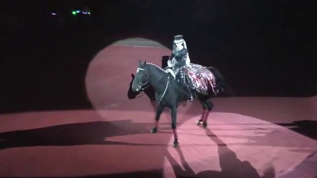 Yakubovskie.ru: Елена Павлович. Высшая школа верховой езды смотреть онлайн