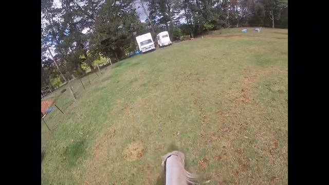 ~Jumping Lesson~ // GoPro // horse_rider.lauren17 смотреть онлайн