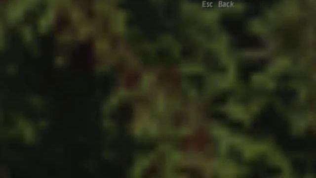 MercedesBenz World Racing S500