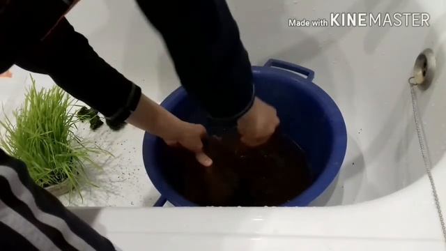Уборка контейнера смотреть онлайн