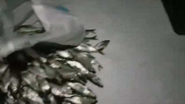 Приколы На Рыбалке. ДАВАЙ ПАКЕТ !!! смотреть онлайн
