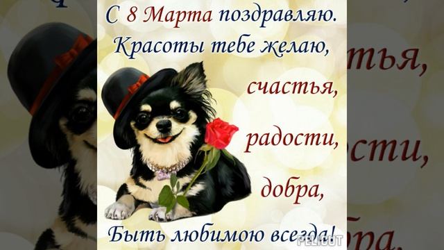 Девчонки, с 8 Марта! ? смотреть онлайн