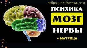 ИСЦЕЛЕНИЕ ПСИХИКИ (НЕРВЫ) ЗВУКОМ ТИБЕТСКИХ ЧАШ С ИСЦЕЛЯЮЩЕЙ МАТРИЦЕЙ ГАРЯЕВА