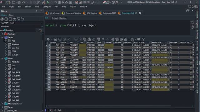 PLSQL Developer 1.1 Браузер объектов - Фильтр смотреть онлайн