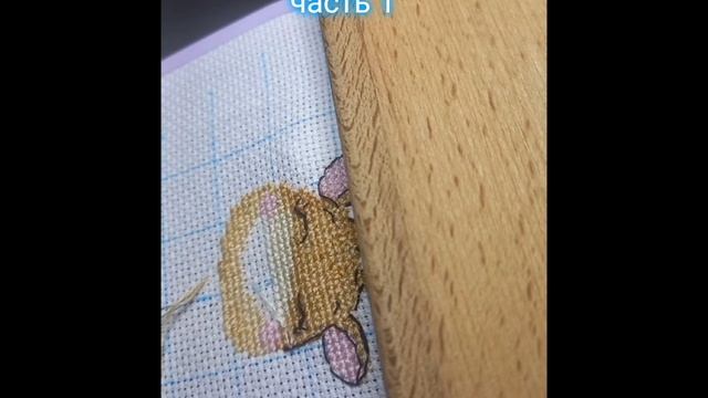 Shotcut-20231013-093656.mp4