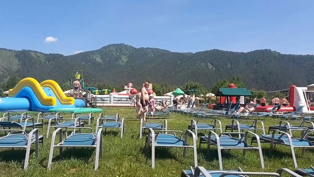 Теплицы и огород остались без хозяйки. Куда уехала и зачем? Какие последствия?