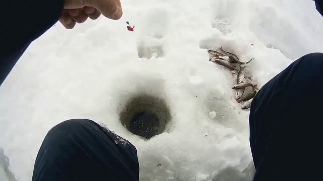 Рыбалка на озере ЖИЖИЦА "ЗЕВАКИ". смотреть онлайн