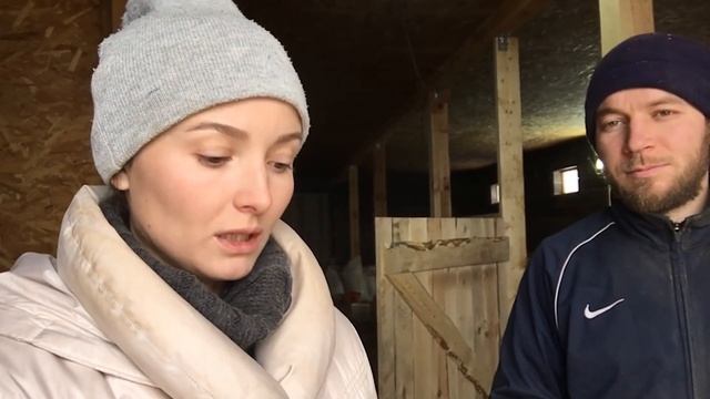 Мы все таки не смогли их продать и решили оставить. Жизнь в деревне с козами и лошадьми смотреть онлайн