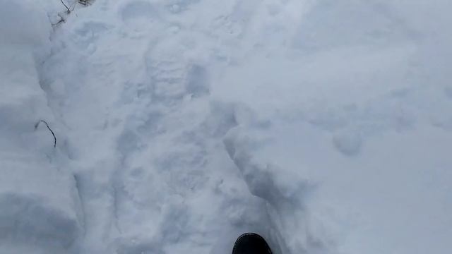 ✅ЗИМНЯЯ ДОРОГА к ЛЕСНОМУ КУПОЛУ смотреть онлайн