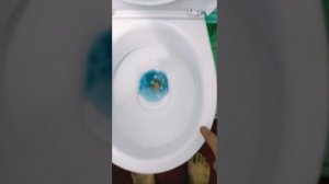 Плохо смывается унитаз??? ТадаМммм))) Doesn't flush the toilet well?