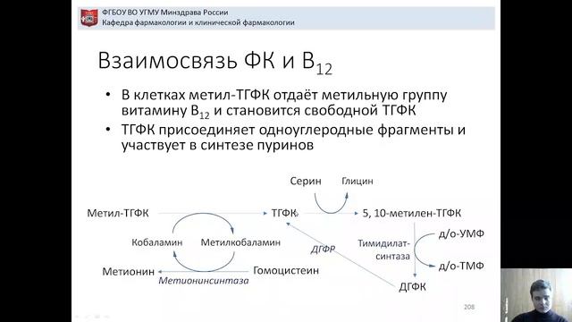 Лекция 10. Фолиевая кислота смотреть онлайн