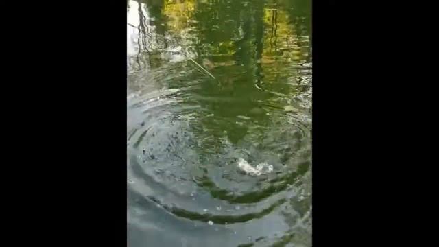 Smith creek Part 3 смотреть онлайн