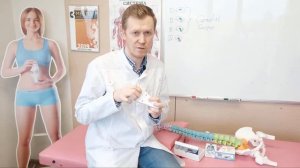 В чем отличия и назначения Cordus и Sacrus?