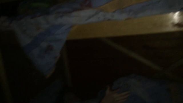 VLOG: Сделали все что нельзя делать в лагере ночью!!! смотреть онлайн